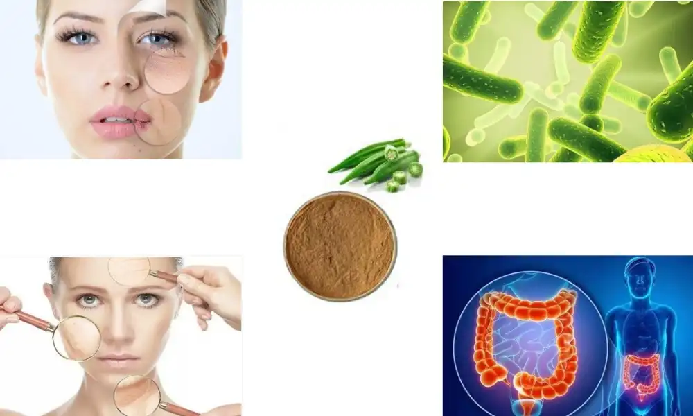 Does your body digest okra seeds?